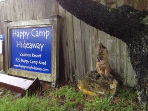 Netarts Lodging Vacation Rental