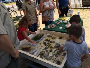 Tillamook Community Organizations TEP