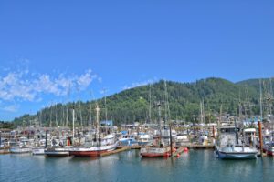 Tillamook Education and Government