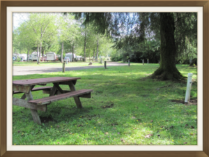 Tillamook Lodging Campgrounds RV Parks