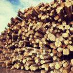 Tillamook Lumber Company Distribution Manufacturing