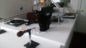 Tillamook Media & Marketing