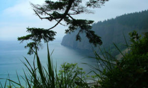 Tillamook Real Estate King Realty