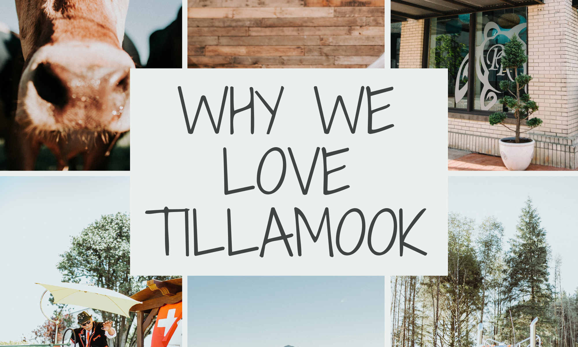 Green pastures, tractor, log truck, restaurant, cows in Tillamook County Oregon